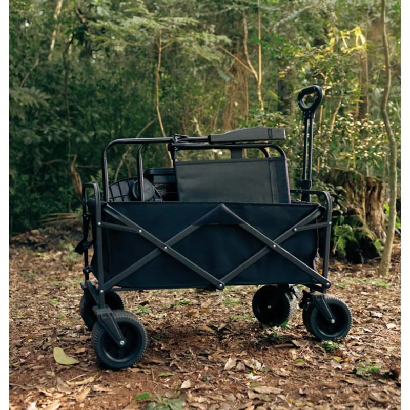 CARRINHO CARGO MULTIUSO MOR - 2467 UN COM 1 UN