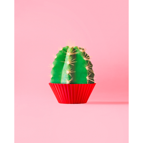 FORMA SILICONE P/ CUP CAKE E MUFFIN MOR - 12 UNIDADES