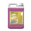 DESINCRUSTANTE CROST PP 5 LT SEVENGEL CX C/ 4UN (5252)