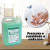 SABONETE LIQUIDO 5 LITROS ERVA DOCE PLUS TRILHA CX C/ 4 UN (T-5000EDSP)