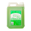 SABONETE LIQUIDO 5 LITROS C/ ESPUMA ERVA DOCE EXACCTA CX C/ 4 UN (E-5000EDEP)