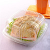 Hamburgueira Sanduicheira GA12 Pet Galvanotek 100 Un Cor Transparente