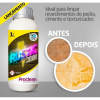 Removedor Limpador Flotador Rustic 1 Lt Proclean - LPRU1L 