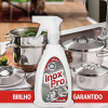 Limpa Inox 500 Ml C/ Gatilho Proclean Inox Pro - Pronto Uso