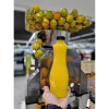 GARRAFA PL PET 800 ML GALV - G3580573951 CX COM 35 UN